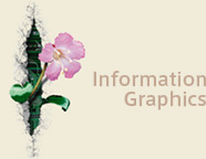 Informasion Graphics
